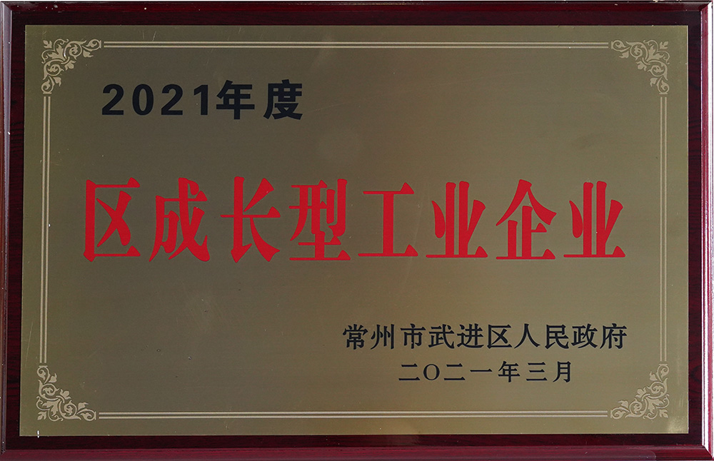 2021年度區(qū)成長型工業(yè)企業(yè)