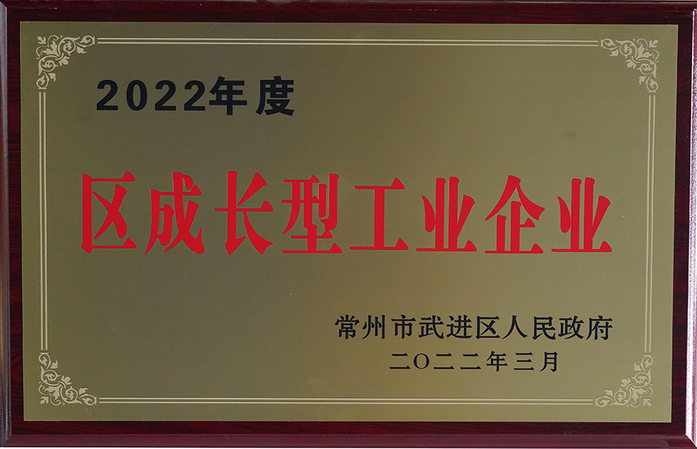 2022年度區(qū)成長型工業(yè)企業(yè)