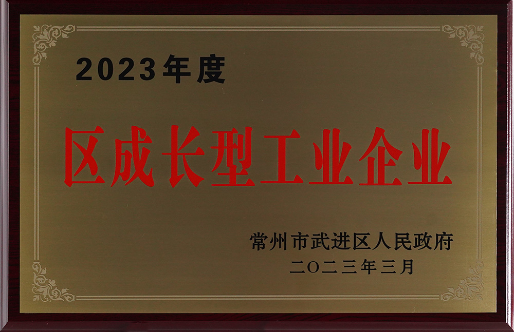 2023年度區(qū)成長型工業(yè)企業(yè)